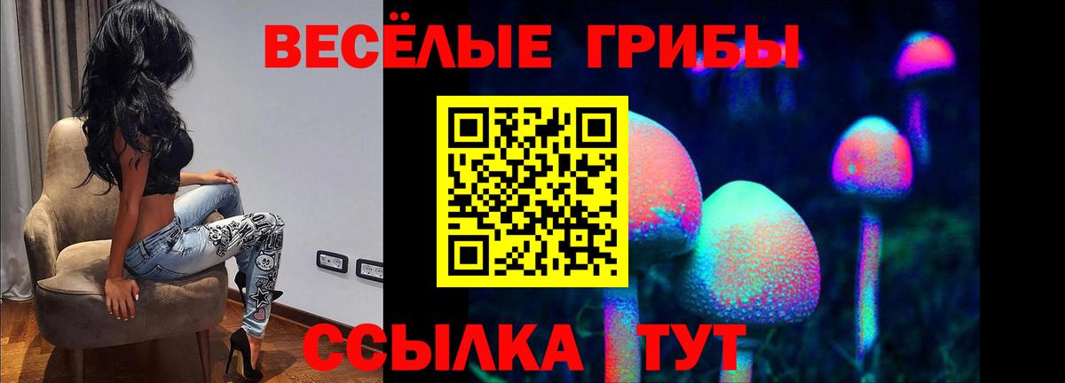 Барабинск  Галлюциногенные грибы Psilocybine cubensis  Вход с VPN  Псилоцибиновые грибы Psilocybine cubensis 